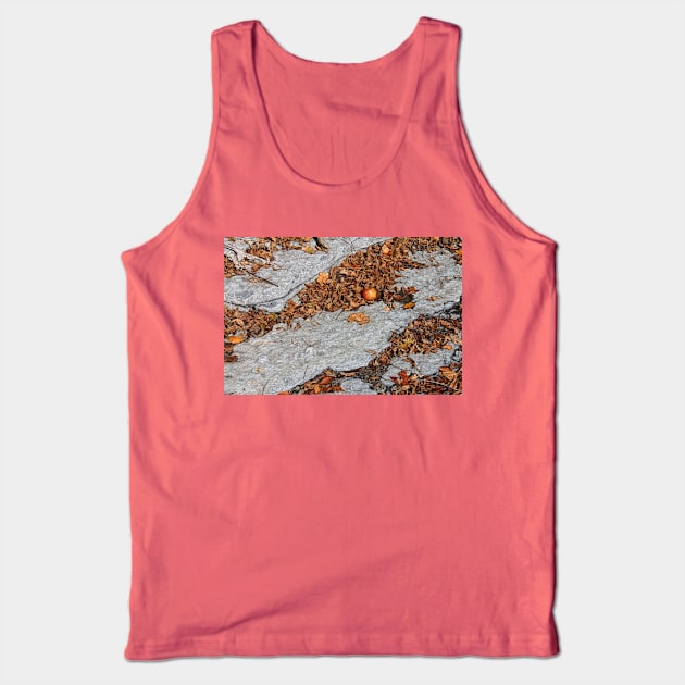 Autumn Still Life Tank Top by photoclique